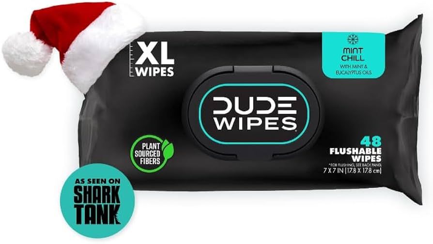 DUDE Wipes - Flushable Wipes Stocking Stuffers - 1 Pack, 48 Wipes - Mint Chill Extra-Large Adult ... | Amazon (US)
