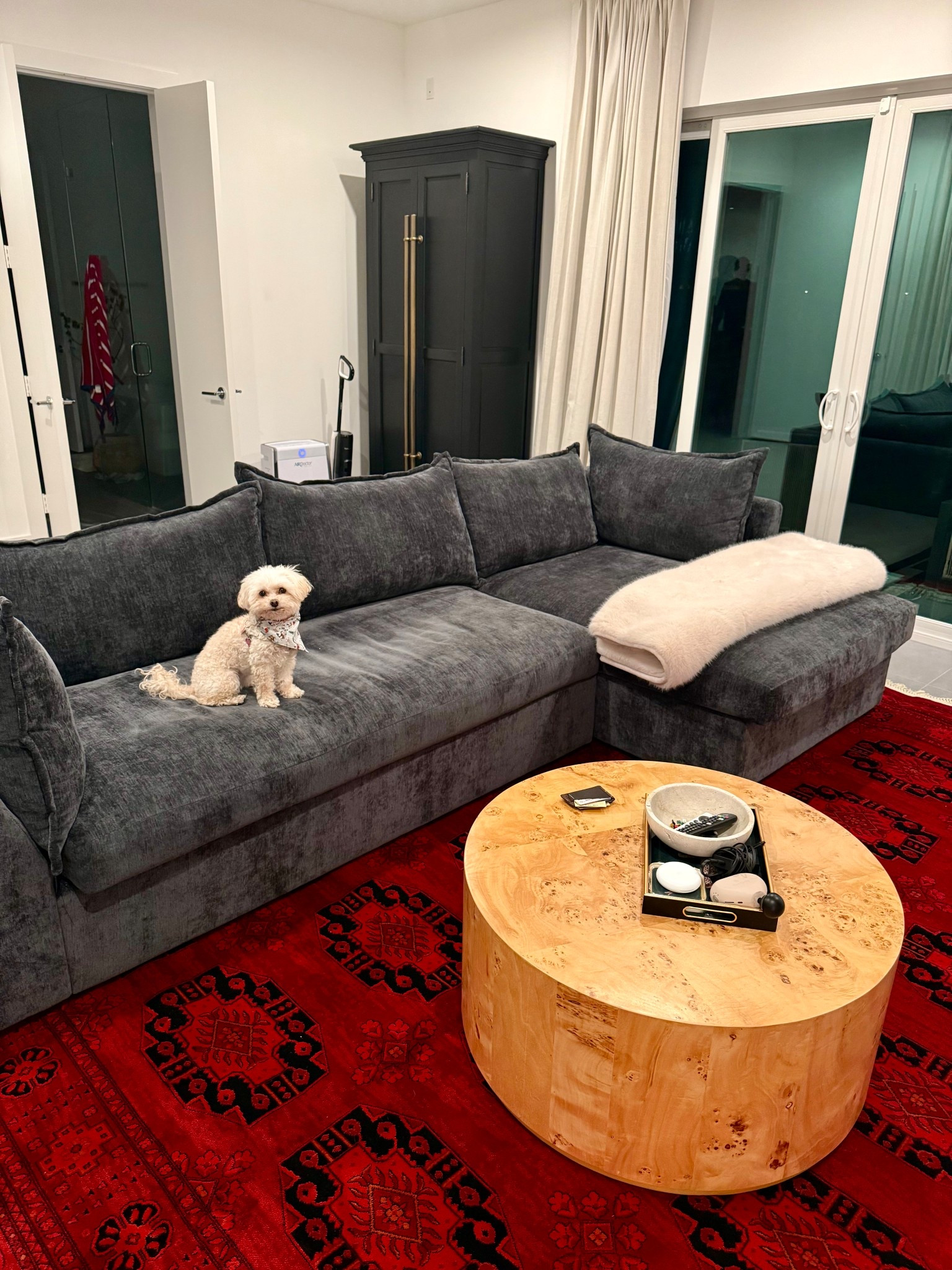New rug gave this room a total refresh and it’s bean approved !

#LTKHoliday #LTKHome