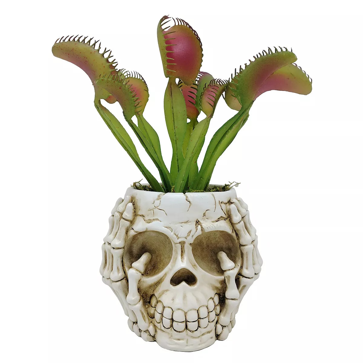 Celebrate Together™ Halloween Artificial Venus Fly Trap Skeleton Planter Table Decor | Kohl's