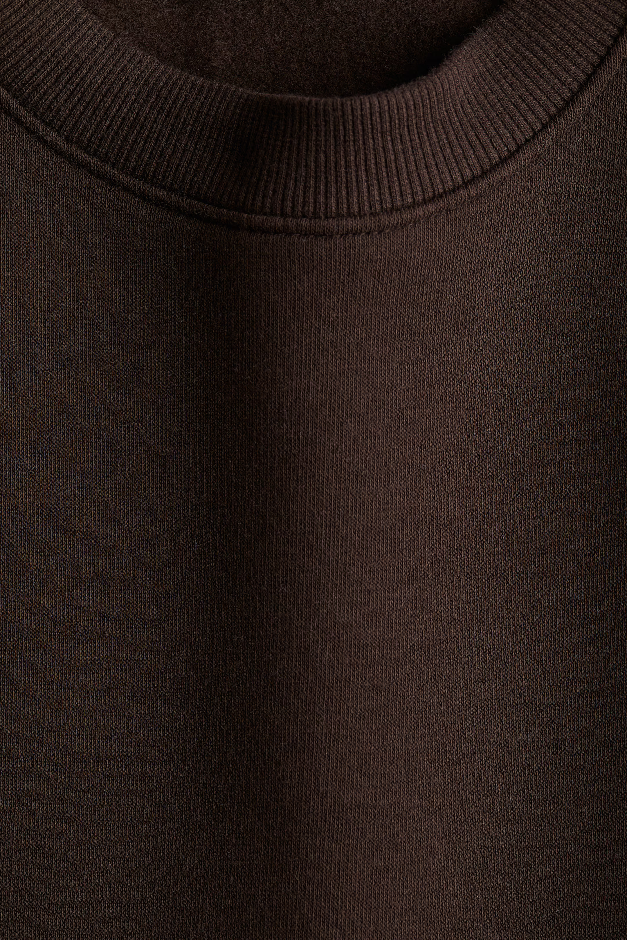 Oversized Brushed-Inside Sweatshirt | H&M (US + CA)