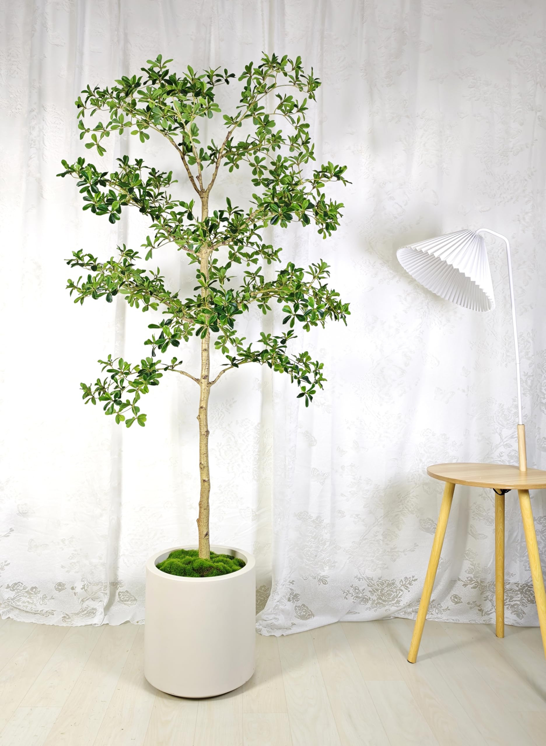 Artificial Black Olive Tree 6.5FT - 79 Inch Tall Shady Lady Faux Tree Fake Indoor Tree with Benda... | Amazon (US)