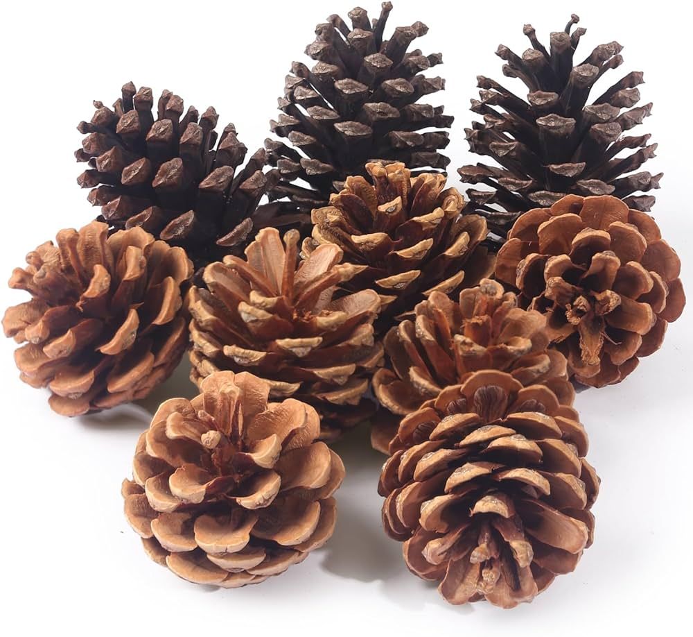 BigOtters 10PCS Large Pinecones for Decorating, Natural Pine Cones for Crafts Christmas Rustic Pi... | Amazon (US)