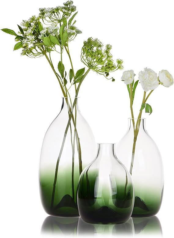CONVIVA Glass Vase Set Room Decor Hand Blown Art Glass Flower vases Modern Green Decorative Flora... | Amazon (US)