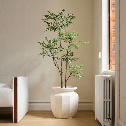 Faux Potted Phoenix Tree | West Elm (US)