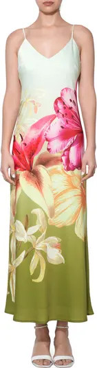 Adelyn Rae Cecilia Gradient Floral Print Slipdress | Nordstrom | Nordstrom