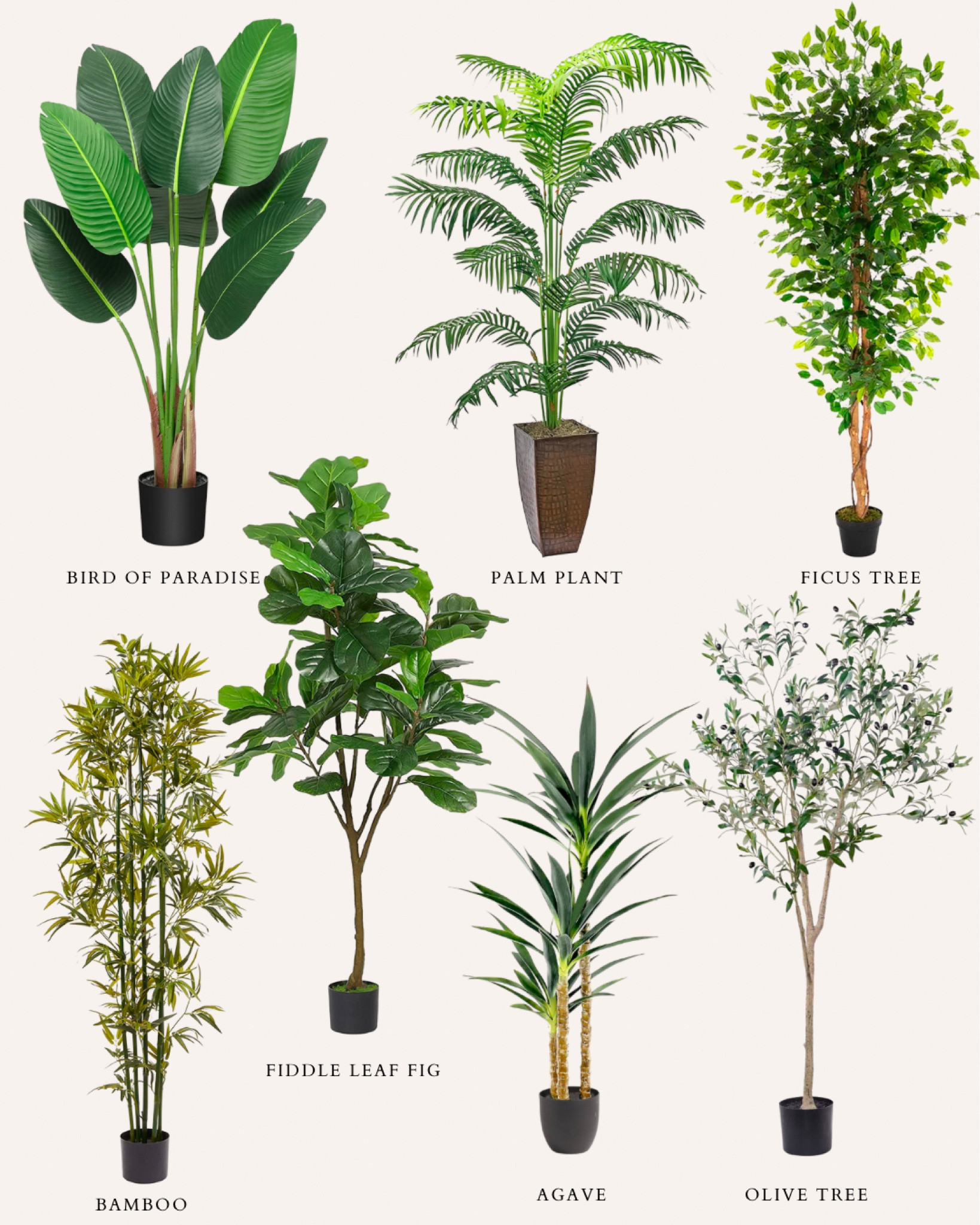 Faux outdoor plants, fiddle fig, birds of paradise, agave, olive tree,  bamboo, palm plant, focus tree

#LTKFind #LTKunder100 #LTKhome