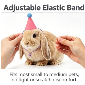 Mini Party Hats for Stuffed Animals, Birthday Party Cone Hats Dolls Dog Cat Rabbit Puppies Assorted Animal Birthday | Amazon (US)