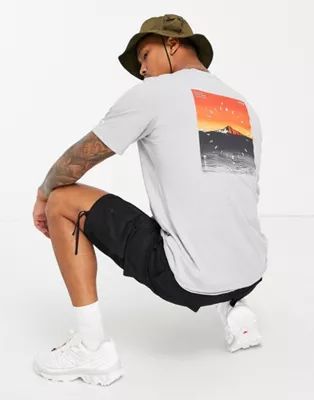 Columbia High Dune back print t-shirt in gray | ASOS | ASOS (Global)