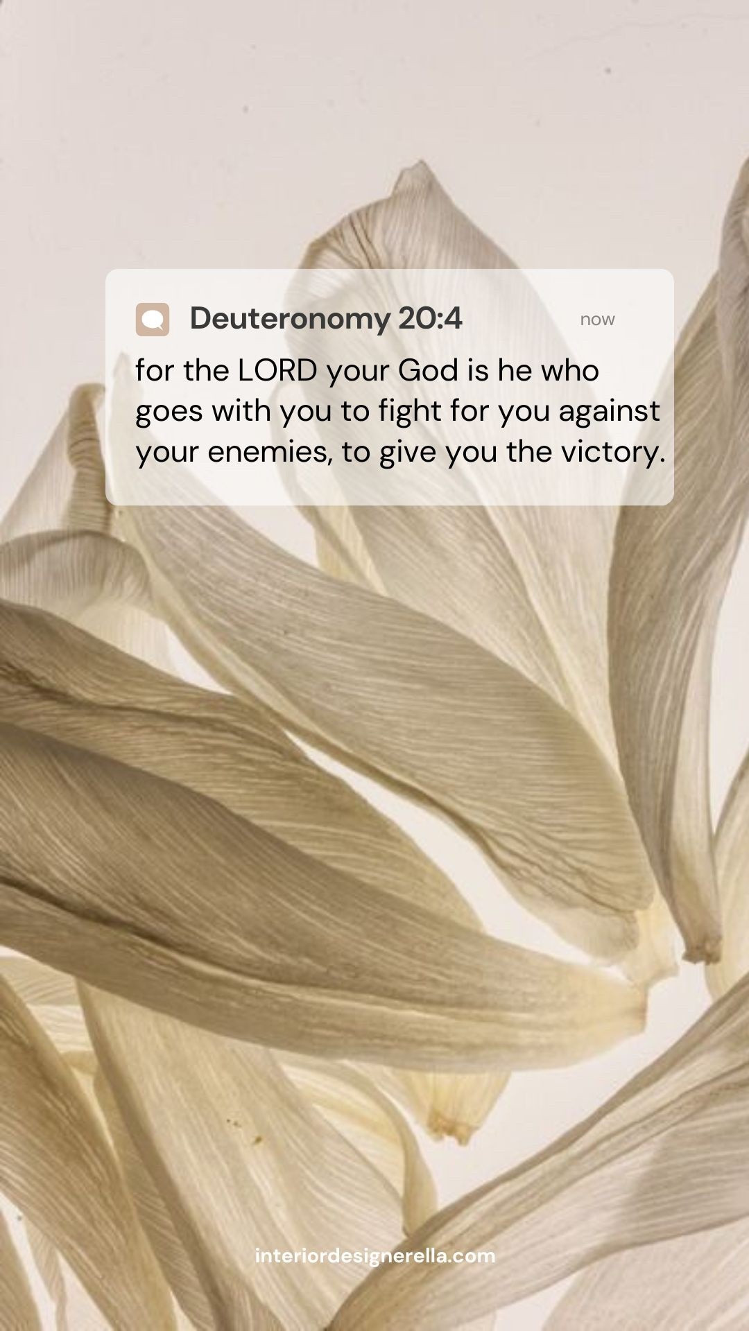 Bible verse of the day! Deuteronomy 20:4!