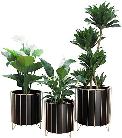 Ryosee Mid Century Modern Planter (Black) with Gold Metal Stand, Modern Stand with Pots for Indoo... | Amazon (US)