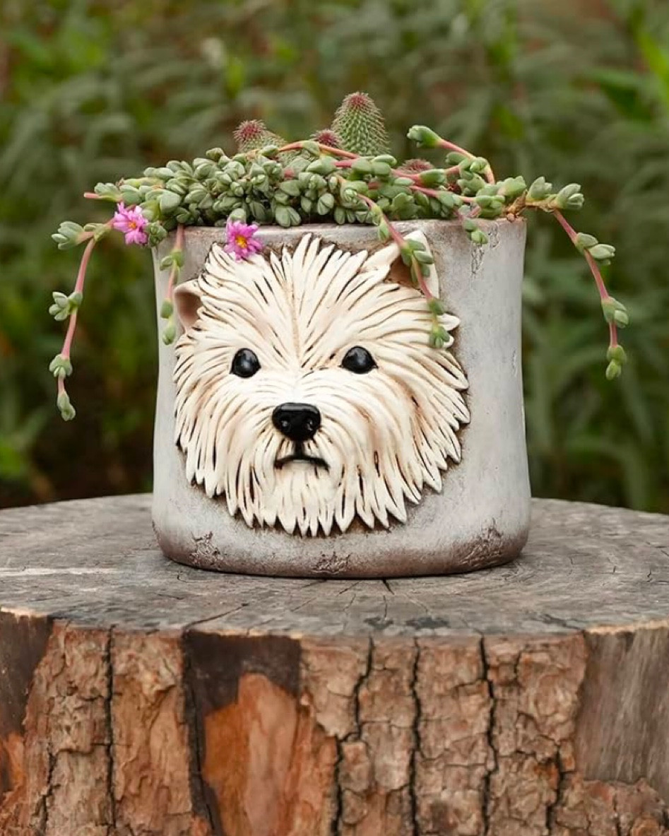 Just ordered this last minute gift from Wellie for my mom. I think I will pop a pink poinsettia into it that will last into spring.. or maybe an amaryllis bulb! Westie face planter/flower pot/cachepot. I’m even thinking you could use it as a kitchen utensil holder! 

#LTKSeasonal #LTKGiftGuide #LTKHoliday