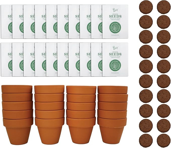 BUZZY Seeds Spruce Terracotta Mini Grow Pots – Indoor Tree Starter Kit Bulk 20-Pack – DIY Pla... | Amazon (US)