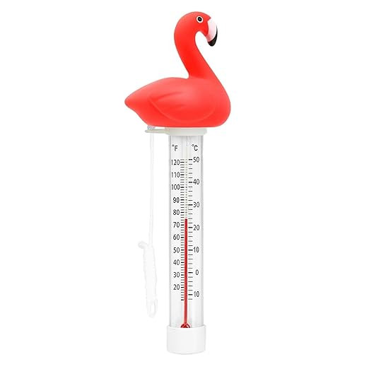 XY-WQ Floating Pool Thermometer, Large Size Easy Read for Water Temperature with String - Swimmin... | Amazon (US)