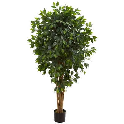 66" Artificial Ficus Tree in Pot Black - Nearly Natural | Target