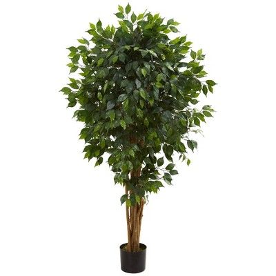 66" Artificial Ficus Tree in Pot Black - Nearly Natural | Target