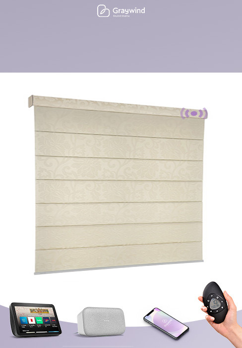 Graywind Smart Roman Shades Compatible with Alexa Google Rechargeable Motorized Blinds with Remot... | Amazon (US)