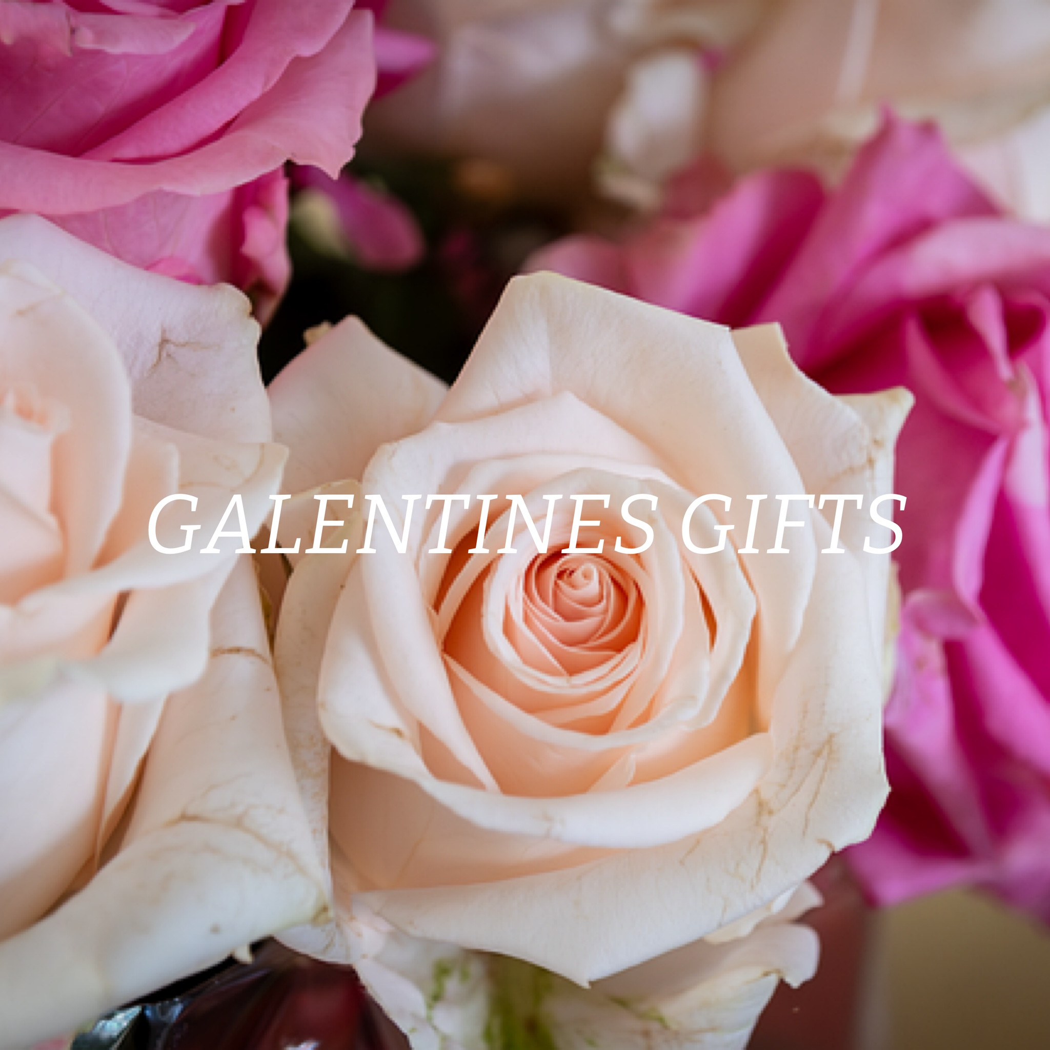 Galentine’s gifts 🫶🏼

#LTKparties #LTKfindsunder50 #LTKbeauty
