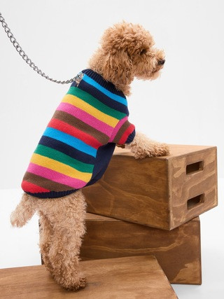 Happy Stripe Dog Sweater | Gap (US)