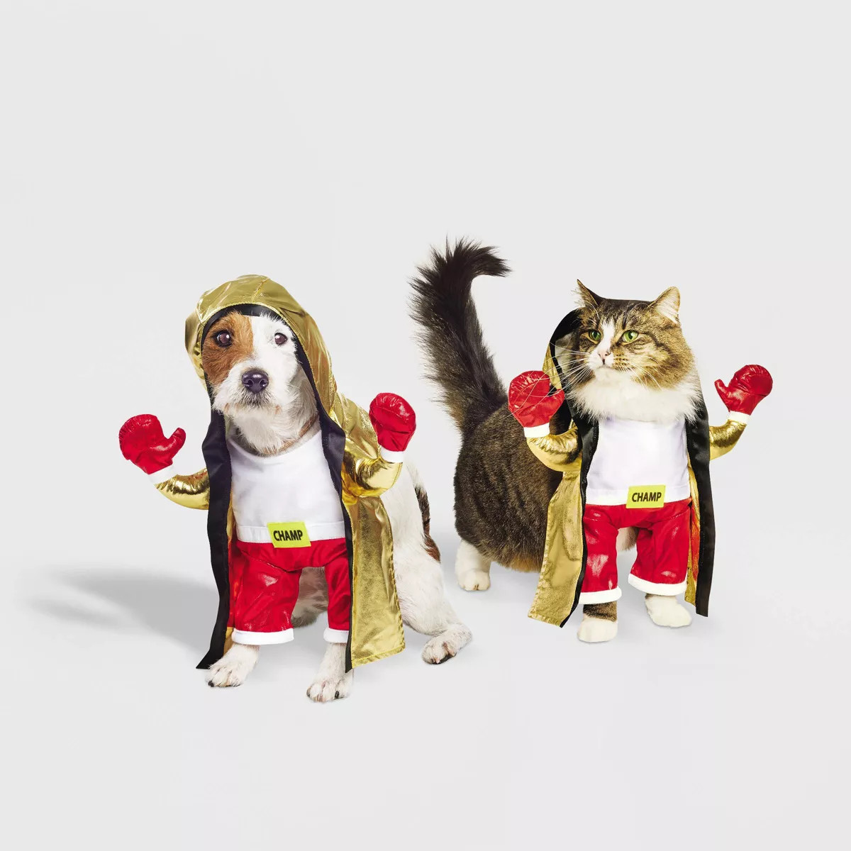 Halloween Frontal Boxer Cat and Dog Costume - Hyde & EEK! Boutique™ | Target