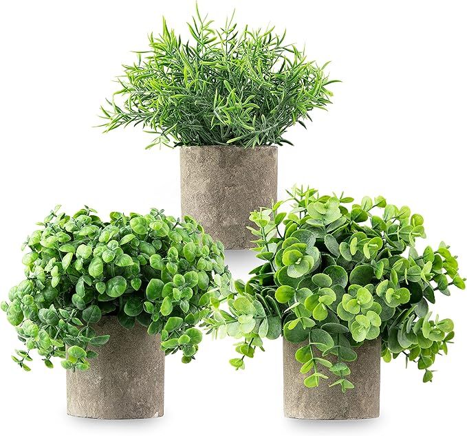 CASALUXE Artificial Potted Plants, Set of 3 Fake Eucalyptus, Boxwood and Rosemary, 2-Toned Plasti... | Amazon (US)