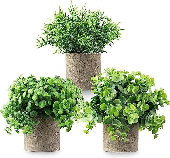 CASALUXE Artificial Potted Plants, Set of 3 Fake Eucalyptus, Boxwood and Rosemary, 2-Toned Plasti... | Amazon (US)