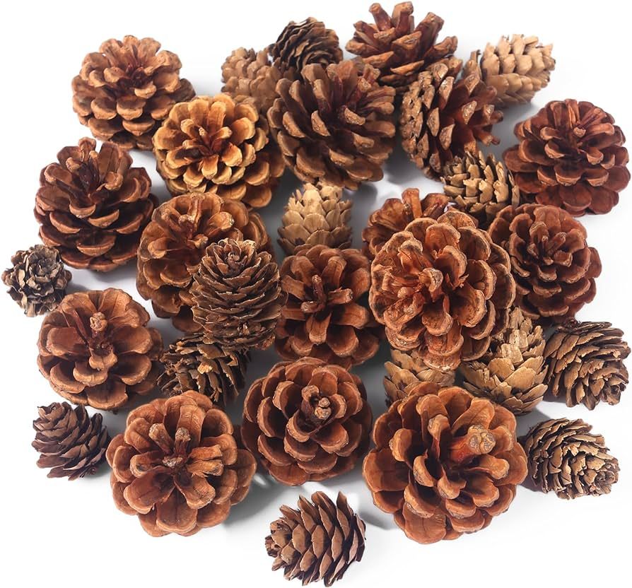 JOHOUSE 30PCS Christmas Pine Cones, Natural Pinecones for Crafts Assortment Rustic Pine Cones for... | Amazon (US)