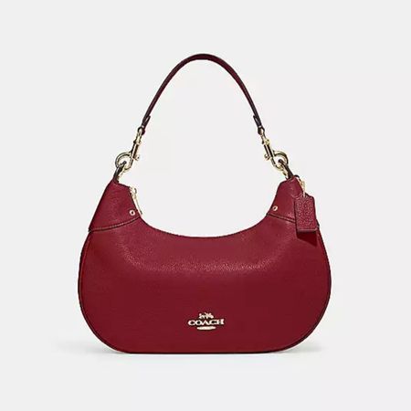 My current holiday bag 🍒 #coach #purse 

#LTKHoliday #LTKSeasonal