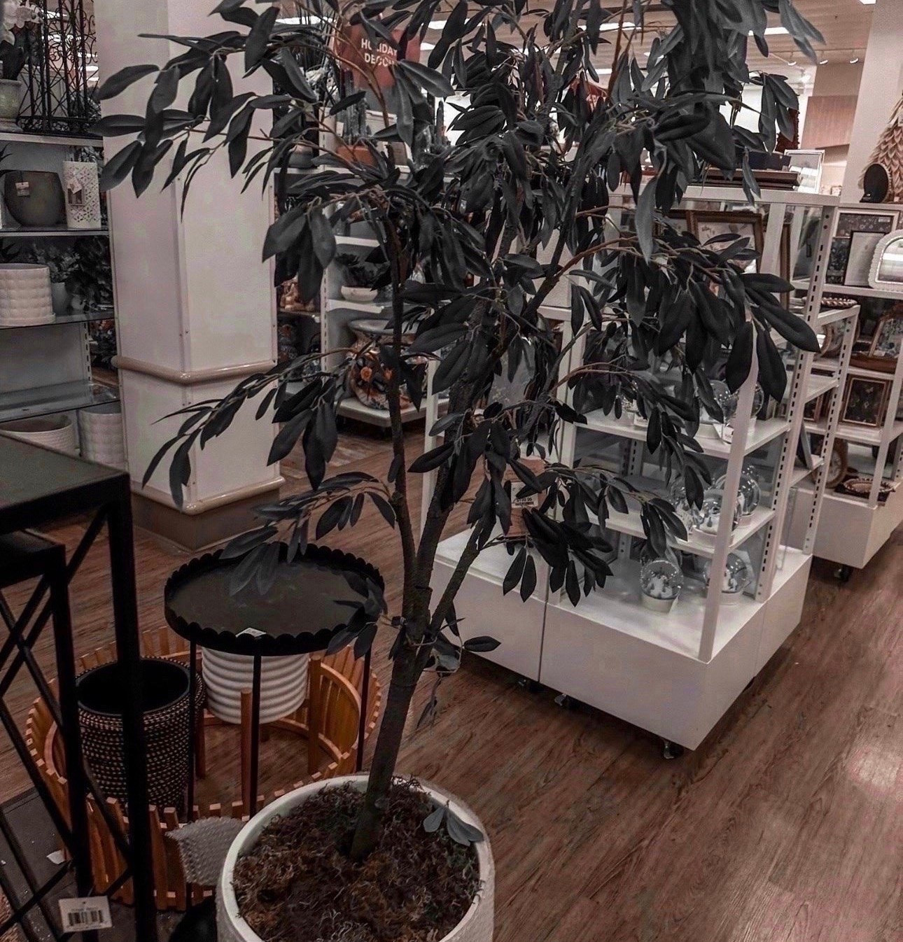 Found the perfect "forever" greenery! 🌿 This olive tree adds that high-end designer look without the maintenance. Perfect for filling that empty corner in your living room or entryway.

#LTKHome