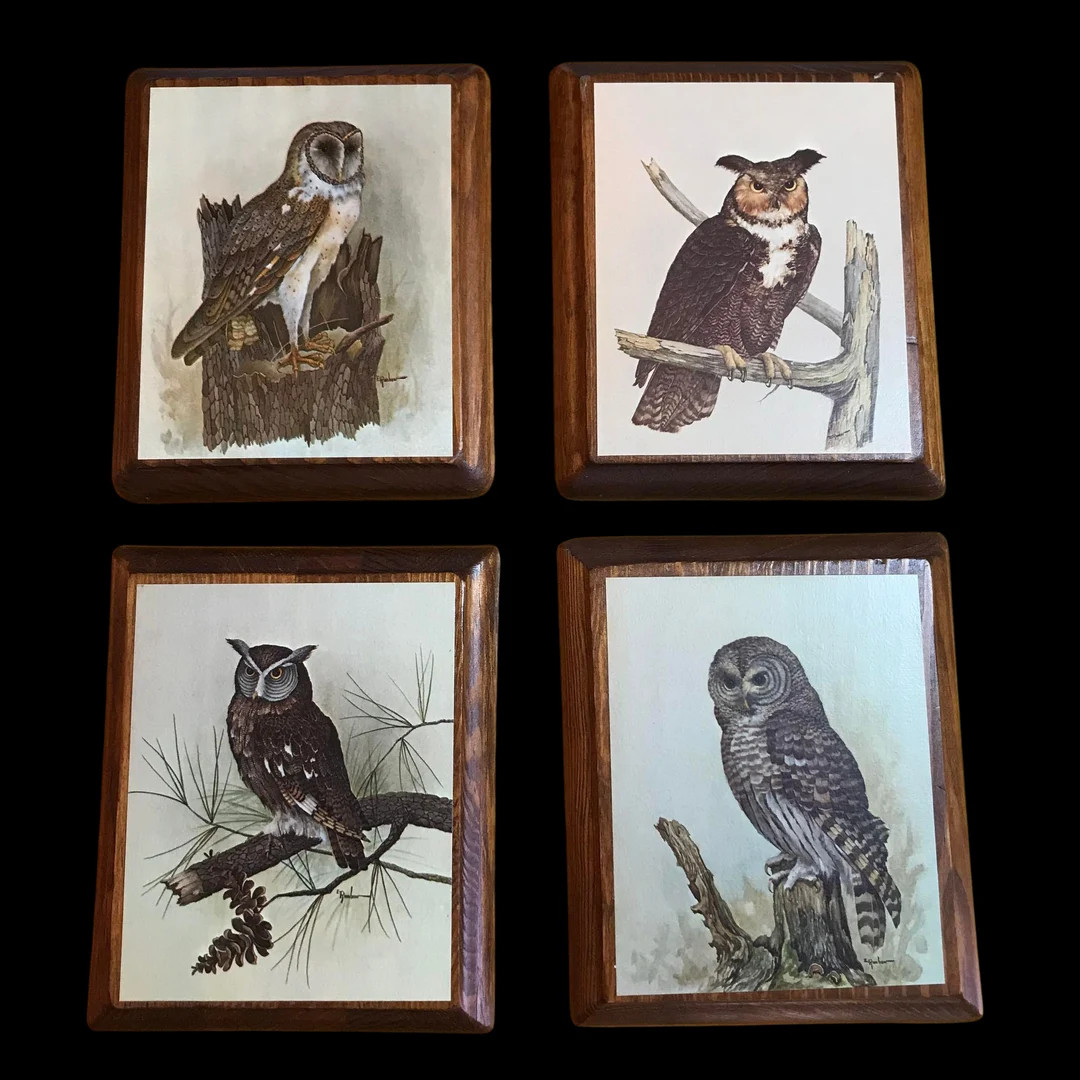 Vintage E. Rambow Owl Prints - Etsy | Etsy (US)