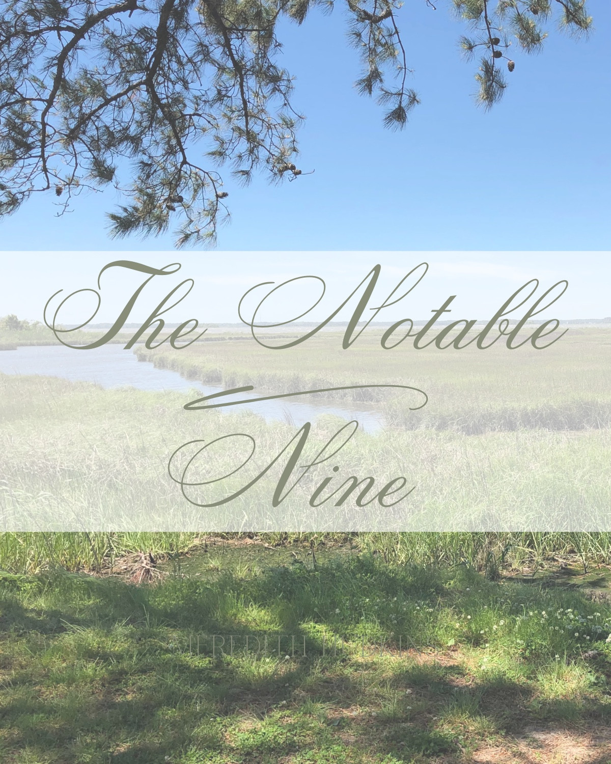 Nine finds I’m absolutely loving!

Meredith Hudkins , classic, timeless, preppy, chic, home decor, interior design, fashion, beauty, spring, trending, affordable

#LTKHome #LTKFindsUnder50 #LTKSaleAlert