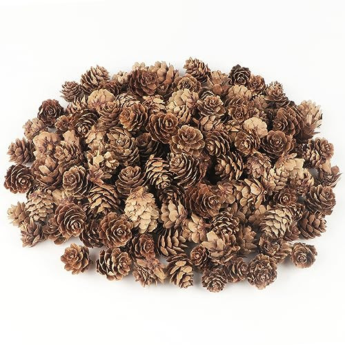 Jangostor 120 PCS Pine Cones Decorations, Natural Pine Cones Bulk - Mini Pine Cones Christmas Pine Cones for Table Christmas Tree Crafts Gifts Thanksgiving Fall and Xmas Home Decor | Amazon (US)