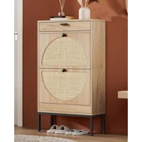 Boho Natural Rattan Shoe Storage Cabinet | Wayfair North America