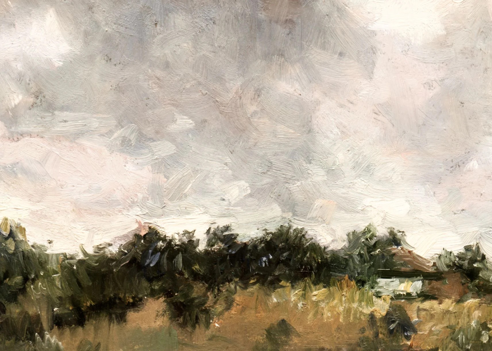 Meadow I | Collection Prints