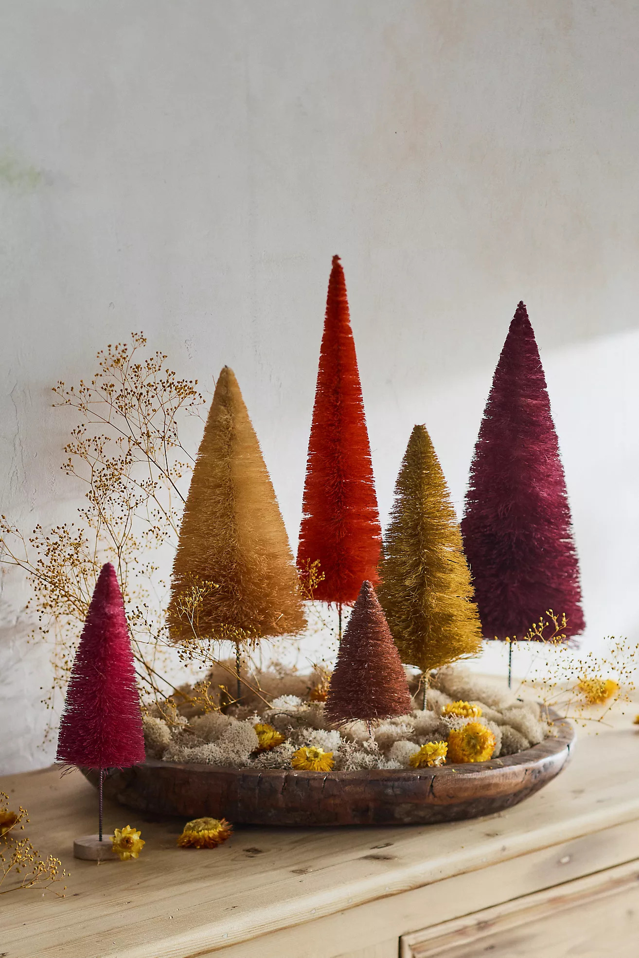 Brush Trees, Set of 6 | Anthropologie (US)