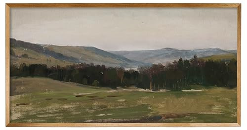 Unframed Rolled Vintage Farmhouse French Country Bedroom Wall Decor Above Bed - 10x20" - Panorami... | Amazon (US)