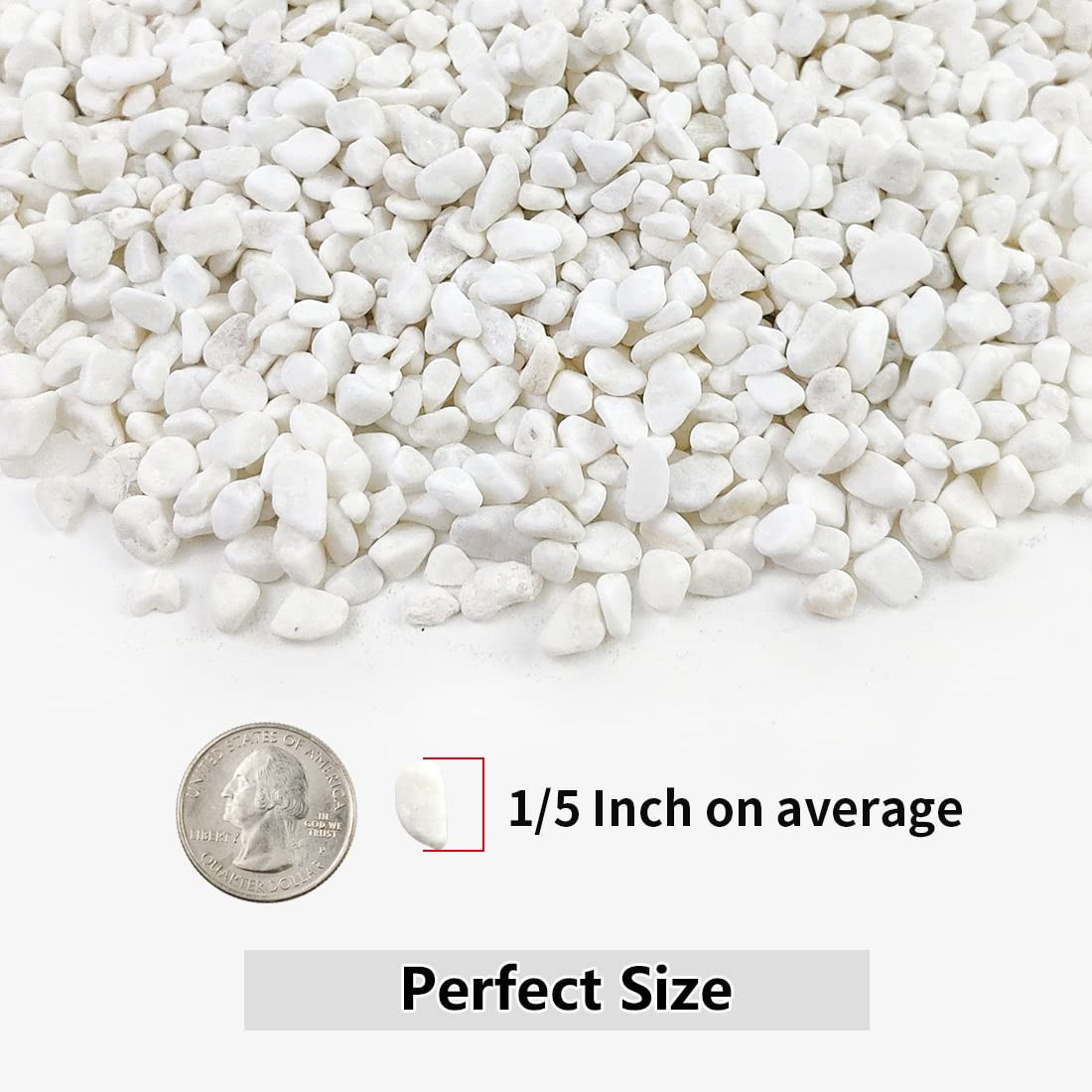 2LB Succulent and Cactus Gravel Pebbles, 1/5 Inch White Natural Decorative Polished Stones, River... | Amazon (US)