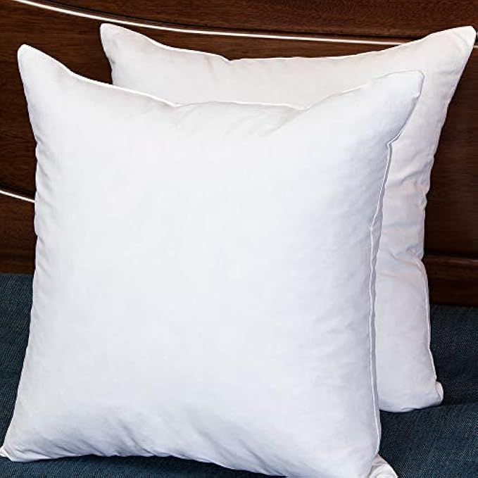 Set of 2 22X22 Square Decorative Down & Feather Throw Pillow Insert, 100% Cotton, White | Amazon (US)