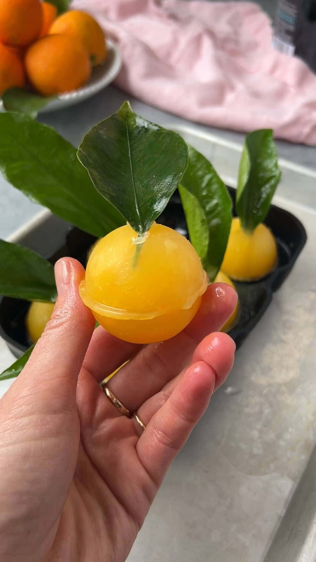 Perfect for Easter or any other opportunity to drink mimosas in the cutest way.

INGREDIENTS

orange juice
champagne
oranges or mandarins with leaves

INSTRUCTIONS

1. Cut leaves off of oranges and wash thoroughly. Set aside.
2. Fill sphere-shaped ice molds with orange juice and place a leaf in the opening, making sure to cover the stem and a small portion of the bottom of the leaf.
3. Place in freezer for 4 hours, or overnight.
4. Carefully remove the top of the mold as not to rip the leaves.
5. Place in glass, pour champagne over the top, and enjoy!

#LTKSeasonal #LTKfoodie