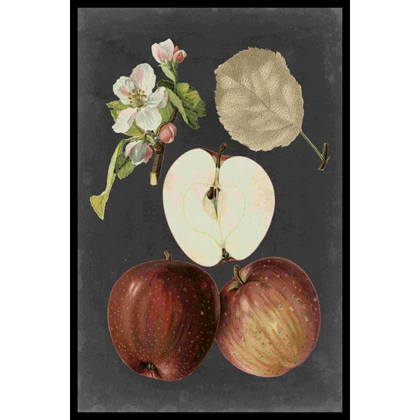 " Midnight Harvest I " by Vision Studio | Wayfair North America