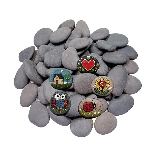 Rocks for Painting 50pcs 1.5-2.5 inch Small Natural River Rocks | Smooth Flat Pebbles, Kindness R... | Amazon (US)