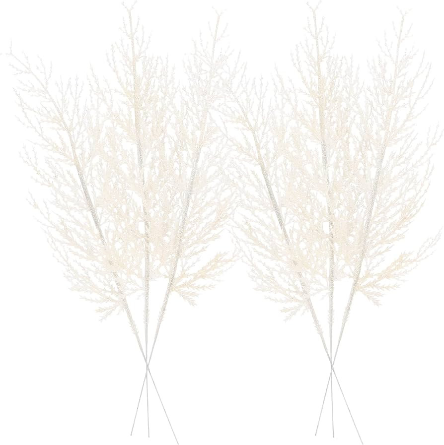 Sea Team | Amazon (US)