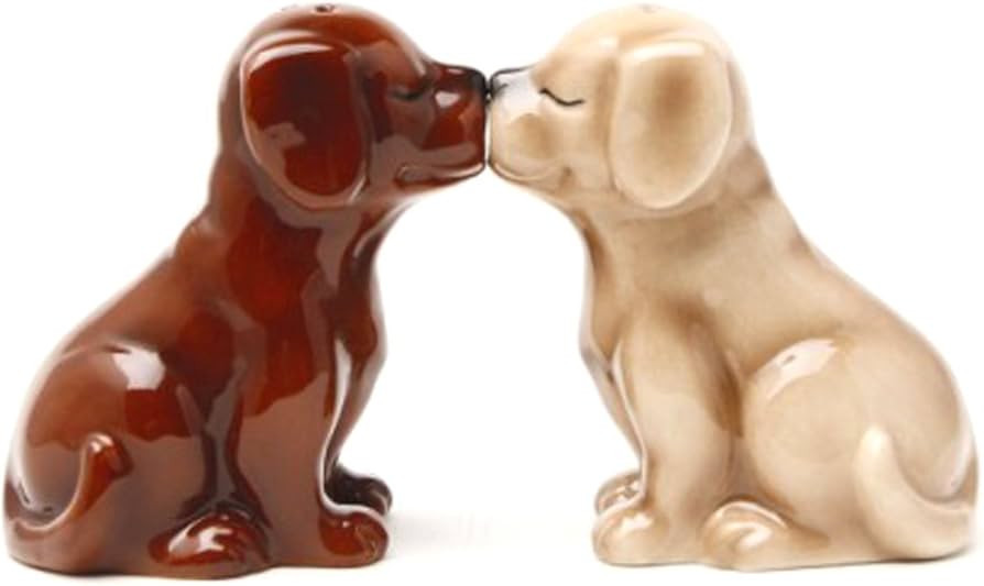 Pacific Giftware Labrador Puppies Magnetic Salt and Pepper Shakers Set, Blond/Chocolate | Amazon (US)