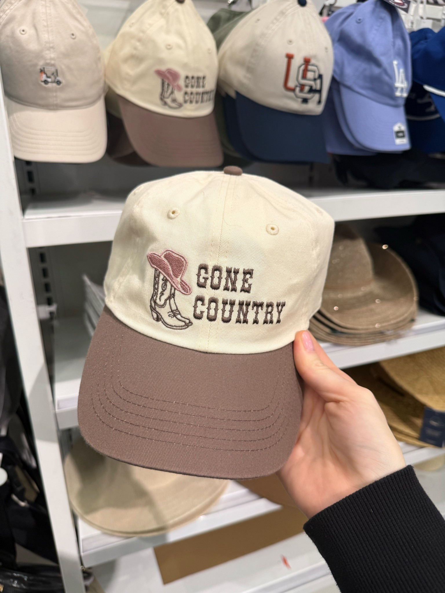 Wild Fable baseball hat at Target 

#LTKgrwm #LTKootd #LTKSeasonal