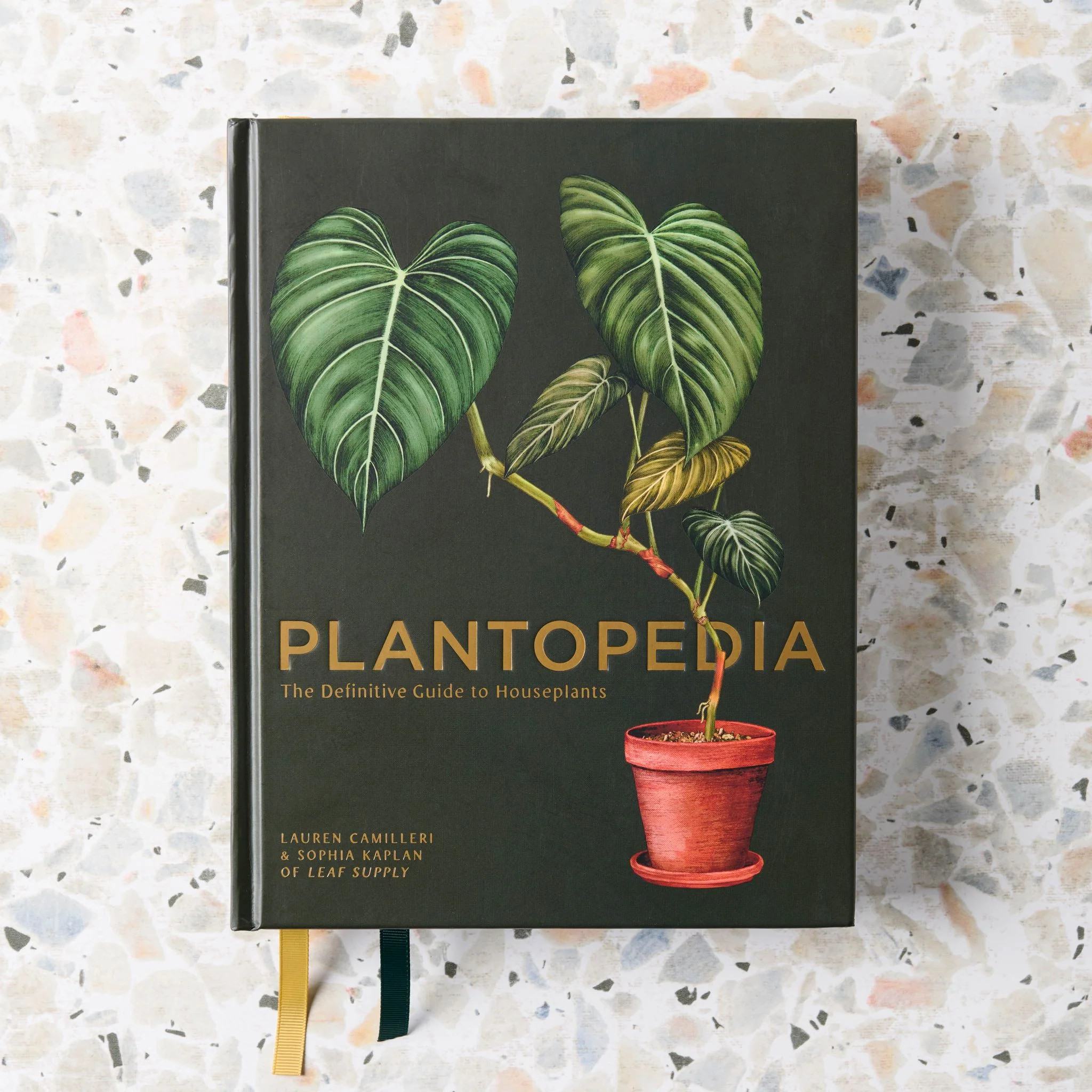 Plantopedia : The Definitive Guide to Houseplants | Magnolia