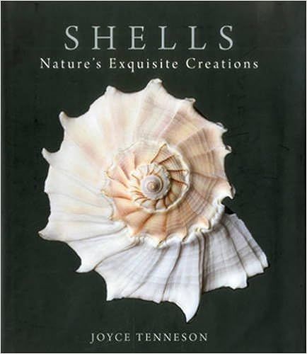 Shells: Nature's Exquisite Creations



Hardcover – Illustrated, November 16, 2011 | Amazon (US)