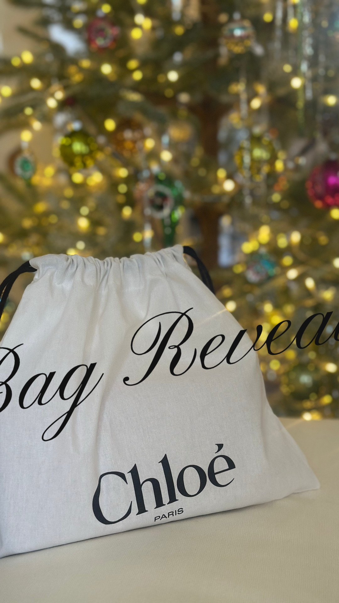 A little bag reveal of a Christmas gift to myself! Bag 55% off!!

#LTKstorytime #LTKSaleAlert