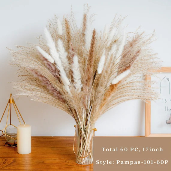 Pampas Grass – 40/60/80/92 stem 17inch, Natural Dried Pampas Grass Bouquets, dried flower, flor... | Etsy (US)