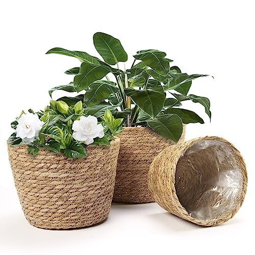 Athaliah Plant Basket, 3 PCS Plant Baskets Indoor with Plastic Liner, Water Hyacinth Woven Planters Flower Basket, Planter Basket for Rustic Boho Home Farmhouse Floor Potted Pots Decor | Amazon (US)