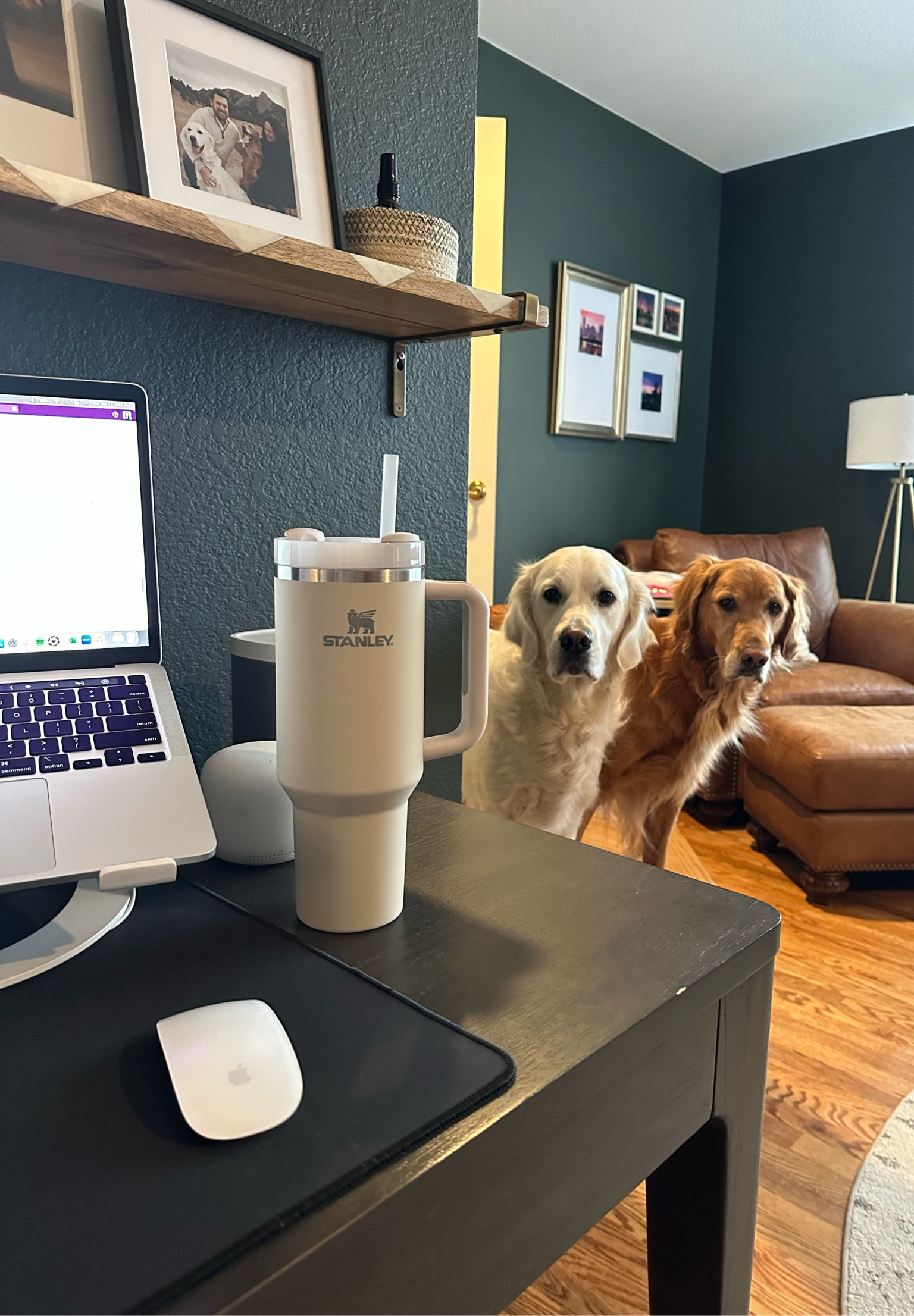 Murphy and Finn making sure I stay hydrated throughout the work day 😂 this Stanley tumbler is my security bottle. It goes with me wherever I go (same for the boys)  

#LTKFind #LTKhome #LTKworkwear