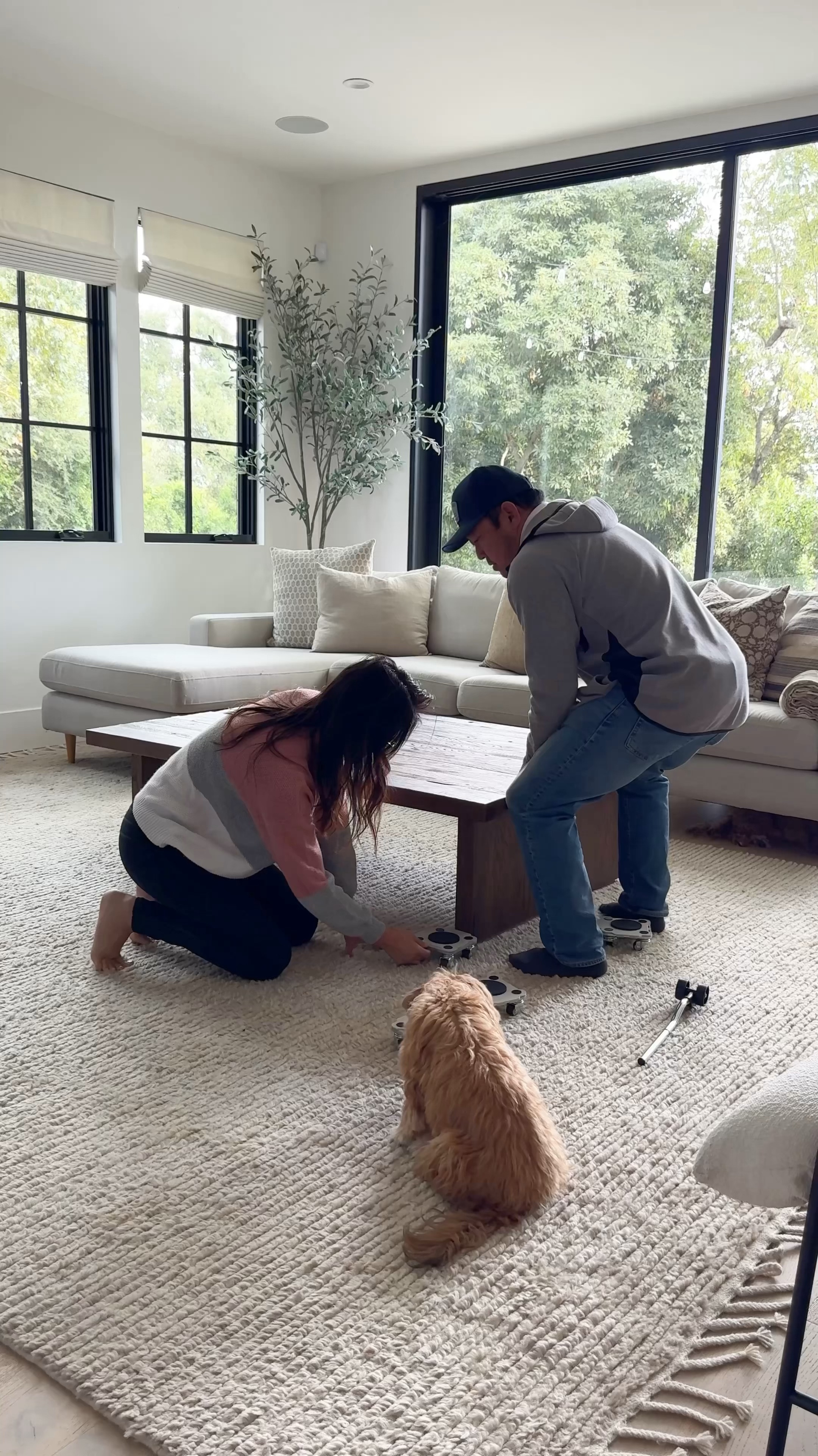 Living room design! My new fave rug! Amber Lewis Loloi wood, coffee, table, Christmas decorations, Christmas tree, bells, branches, vintage crock, face, gray sofa, gray rug olive tree Amazon Wayfair  

#LTKHome #LTKFindsUnder100 #LTKSaleAlert